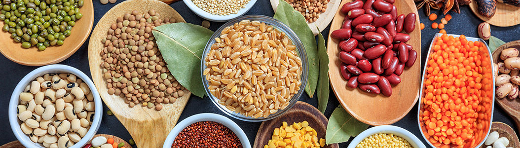 豆の種類イメージ